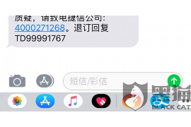 普兰店为什么选择专业追讨公司来处理您的债务纠纷？